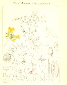 n814_w1150