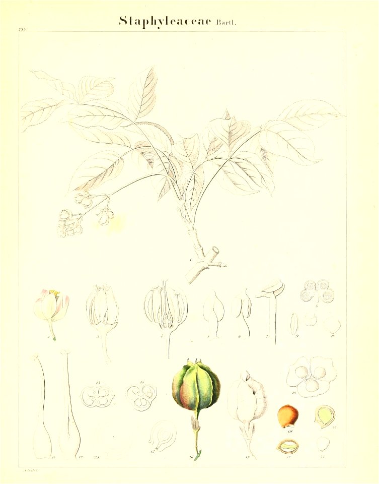 n694_w1150