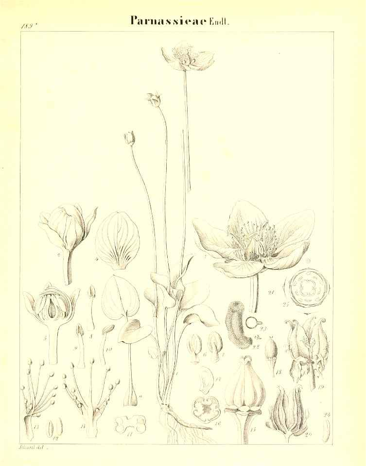 n566_w1150