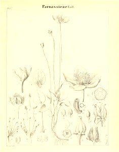 n566_w1150