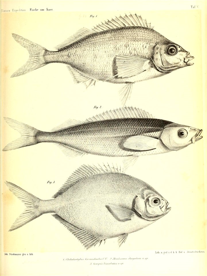 n898_w1150