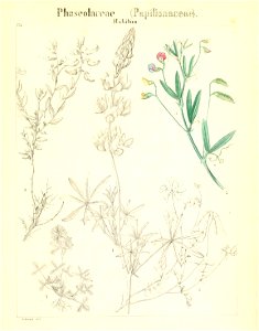 n810_w1150