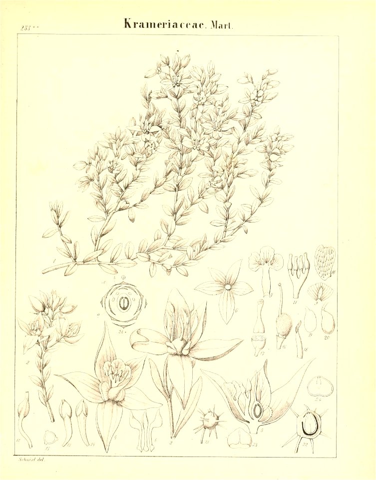 n690_w1150