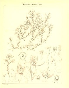 n690_w1150