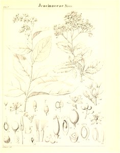 n656_w1150