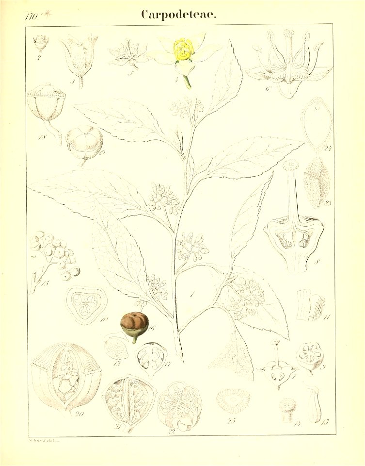 n502_w1150