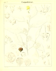 n502_w1150
