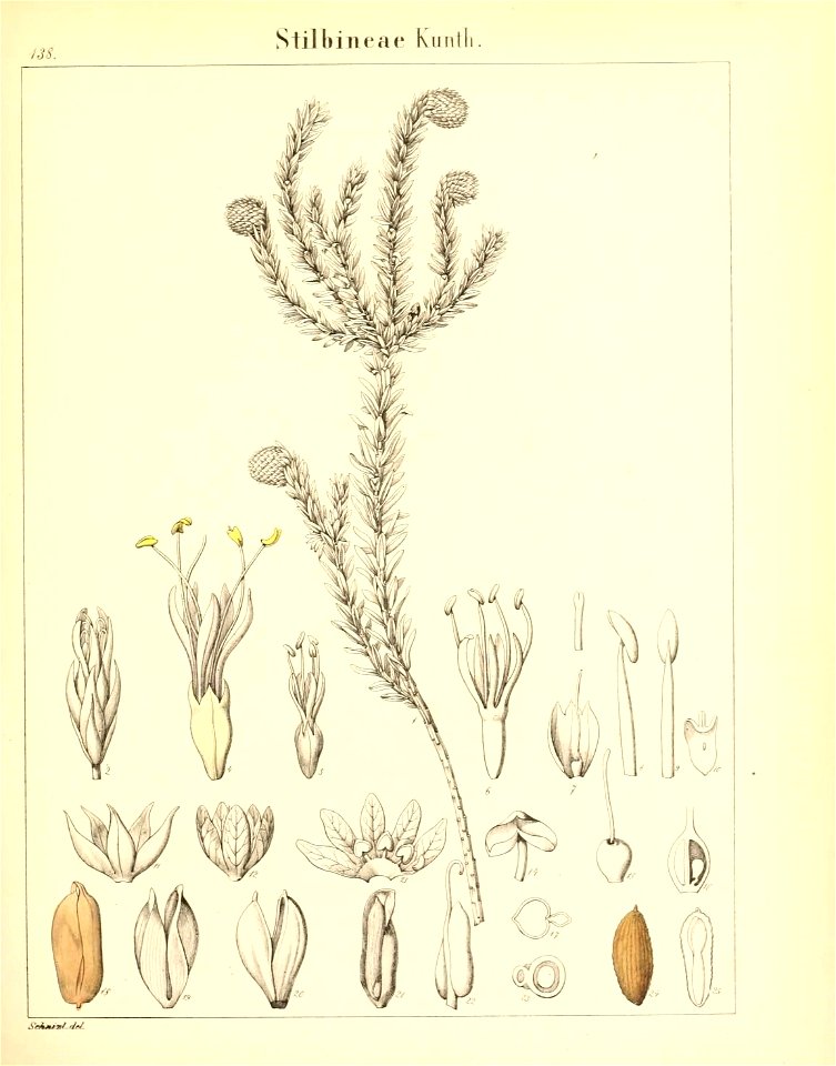 n376_w1150