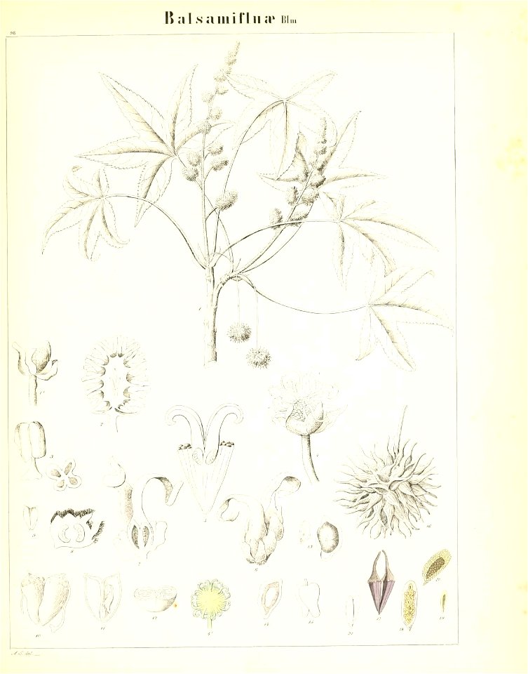n256_w1150