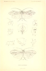 n210_w1150