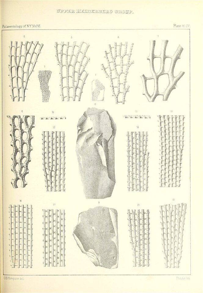 n508_w1150