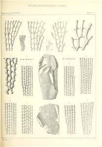 n508_w1150