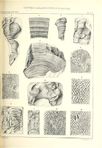n388_w1150