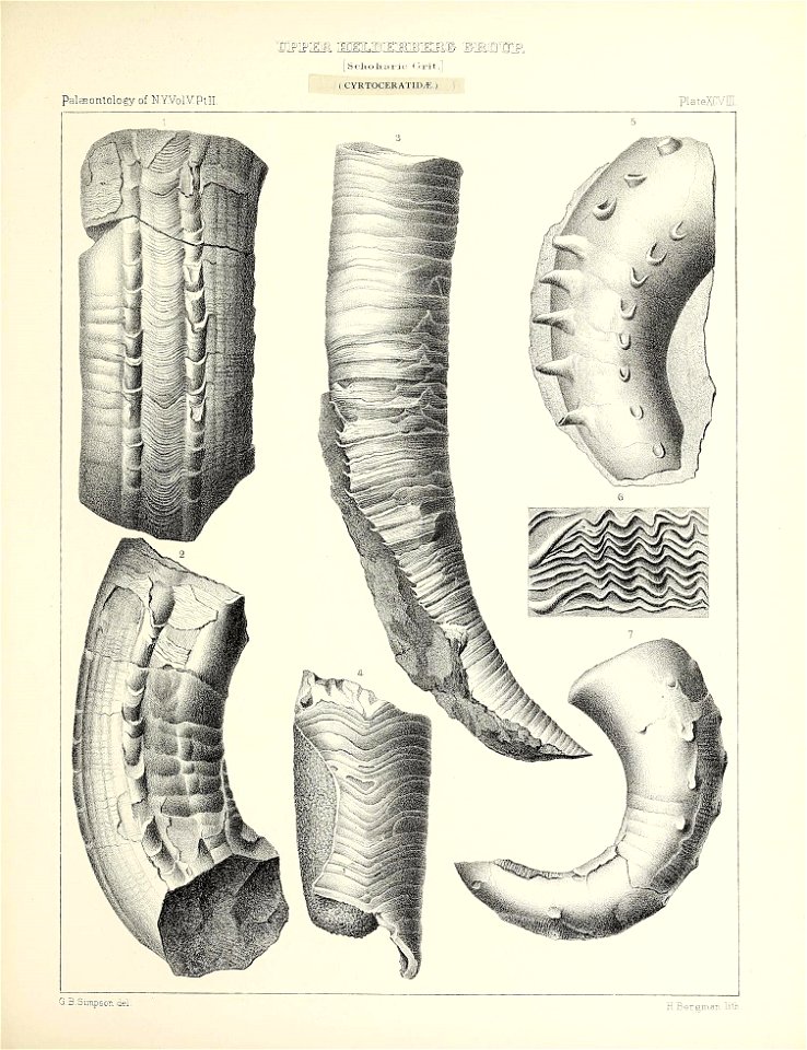 n456_w1150