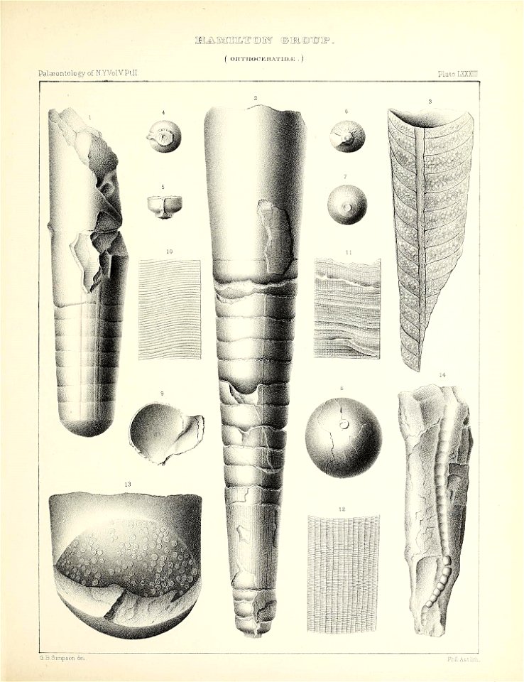 n392_w1150