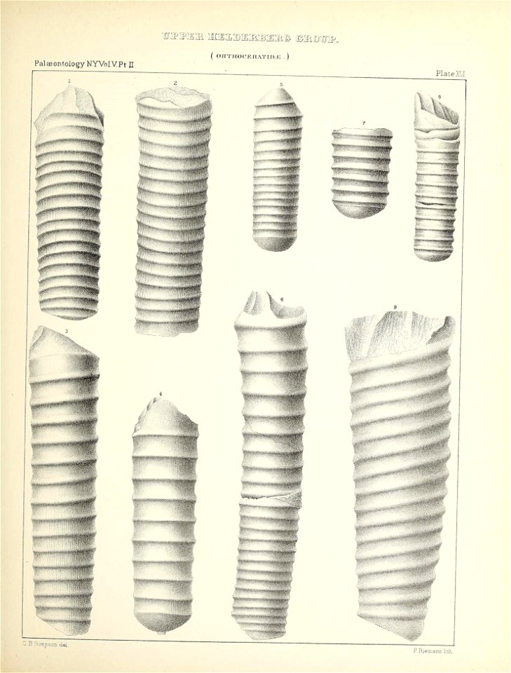 n202_w1150