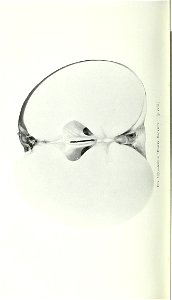 n973_w1150