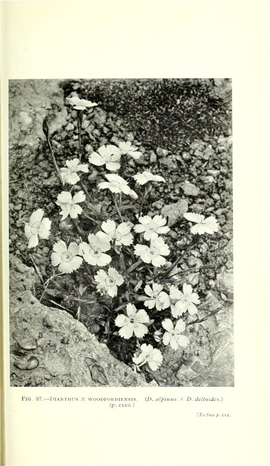 n870_w1150