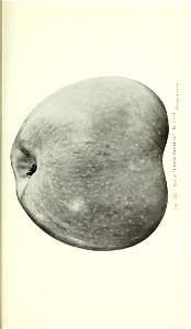 n972_w1150