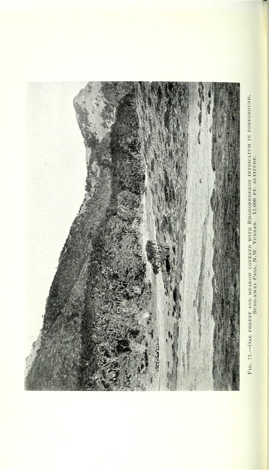 n319_w1150