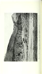 n319_w1150