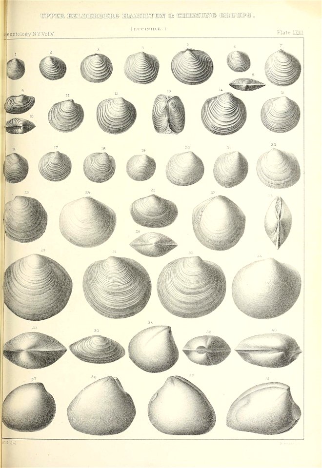 n522_w1150