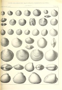 n522_w1150
