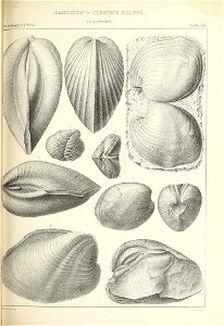n462_w1150