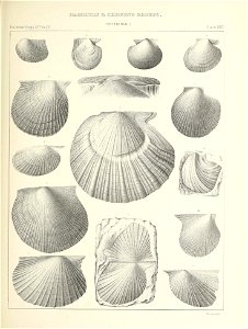 n386_w1150