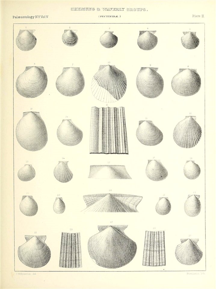n326_w1150