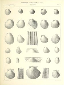 n326_w1150