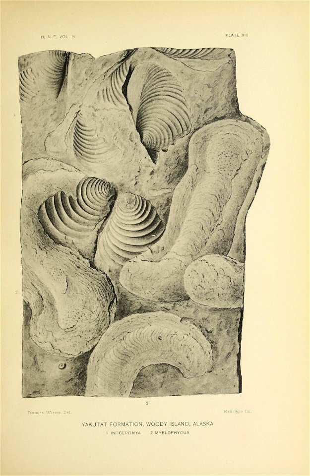 n210_w1150