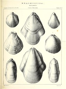 n608_w1150