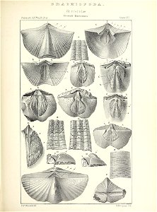 n428_w1150