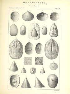 n464_w1150
