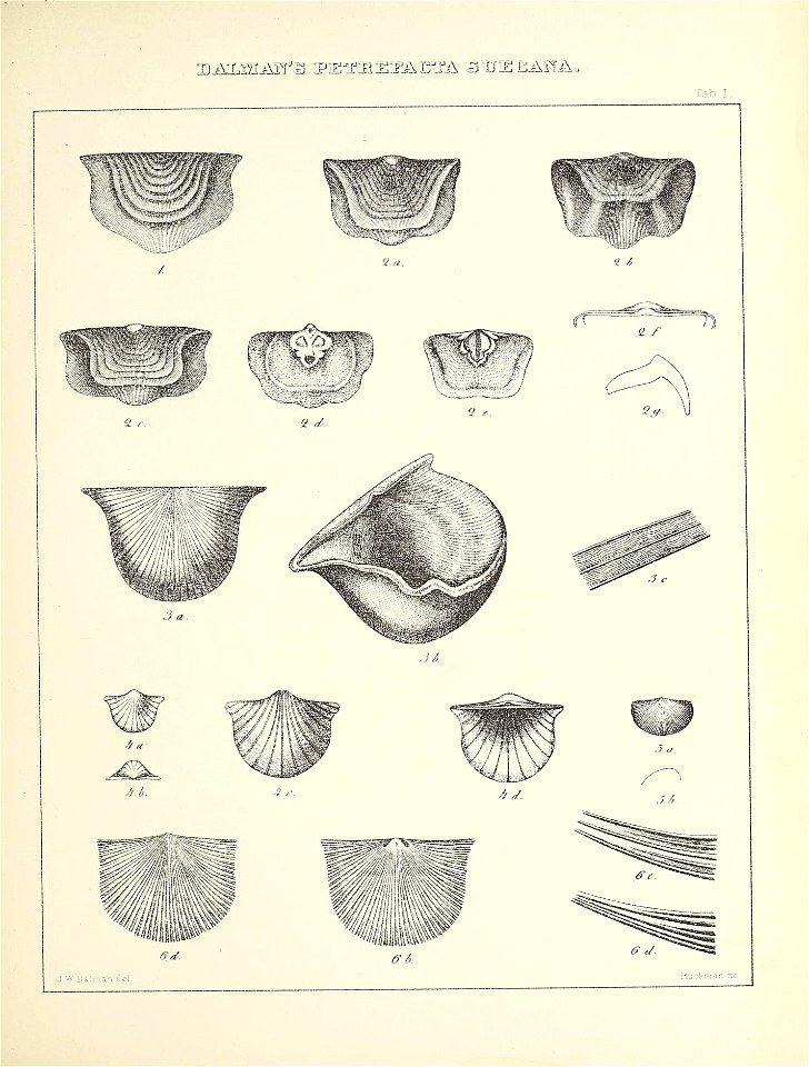 n402_w1150