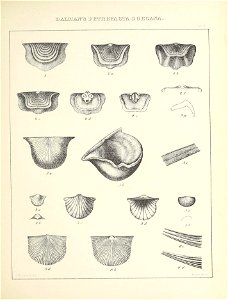 n402_w1150