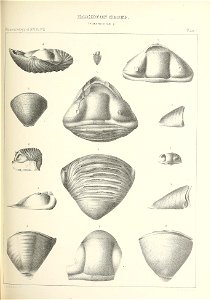 n368_w1150