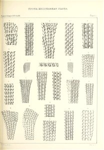 n496_w1150