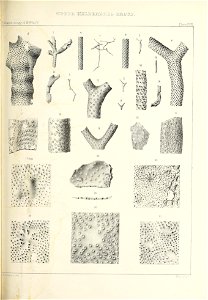 n436_w1150