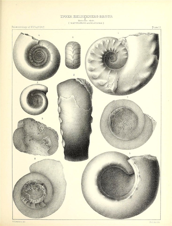 n508_w1150