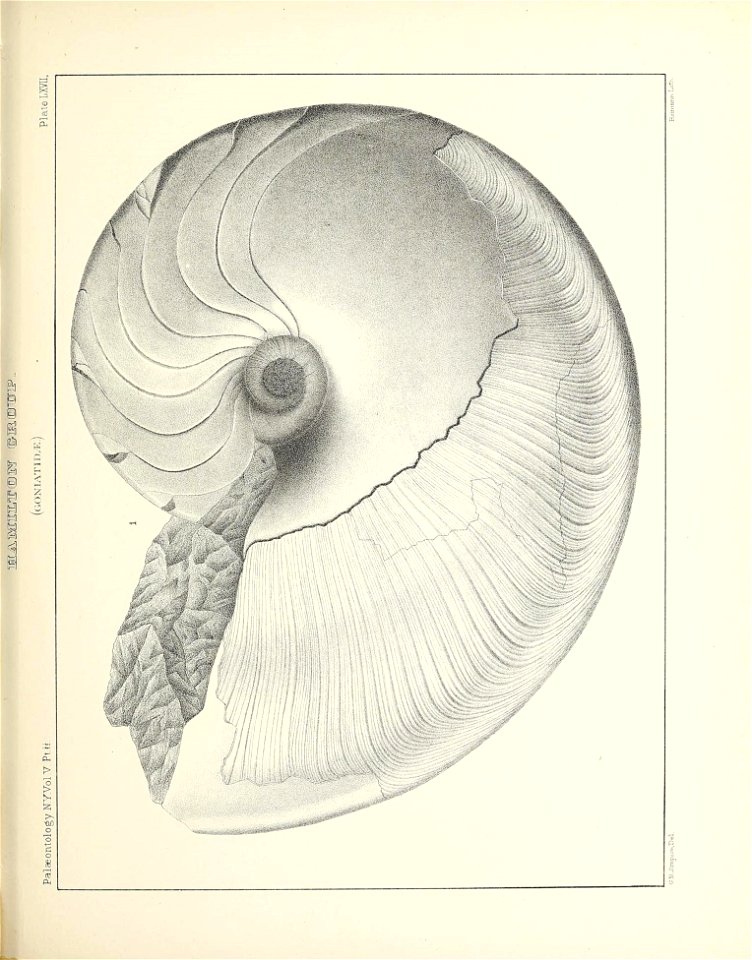 n316_w1150
