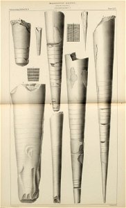 n190_w1150