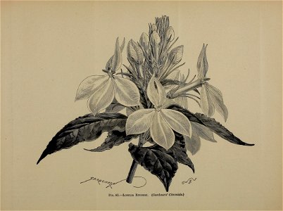 n584_w1150