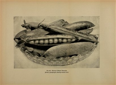 n261_w1150