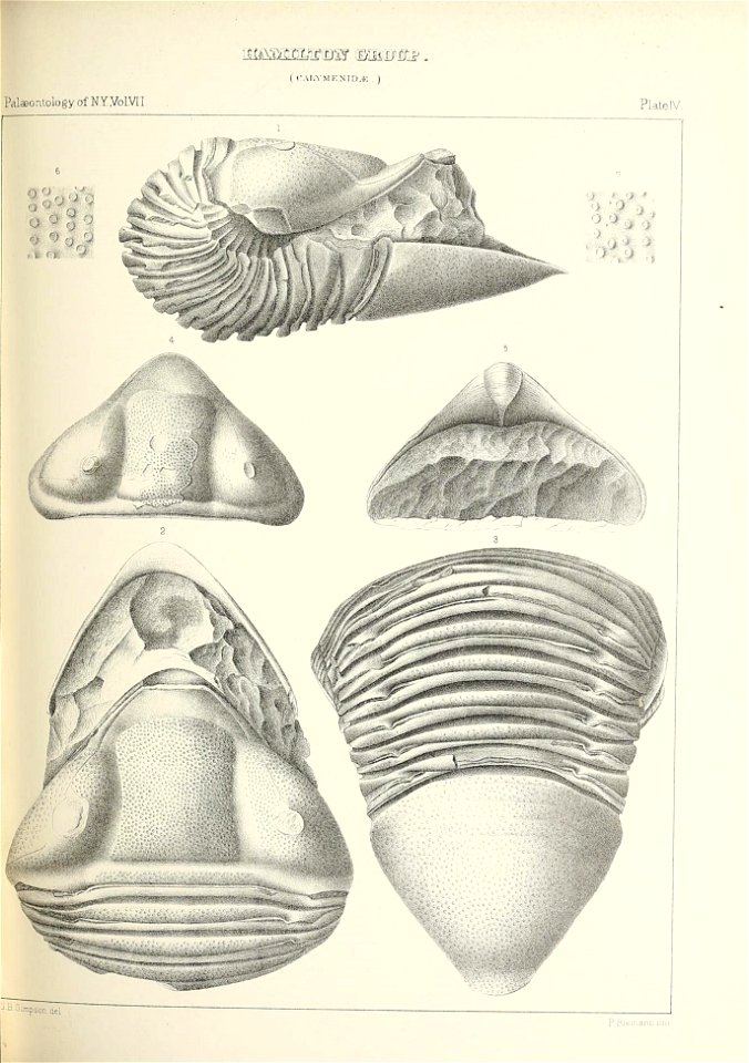 n364_w1150