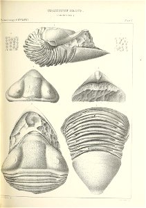 n364_w1150