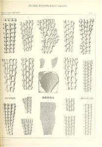 n492_w1150
