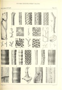 n432_w1150