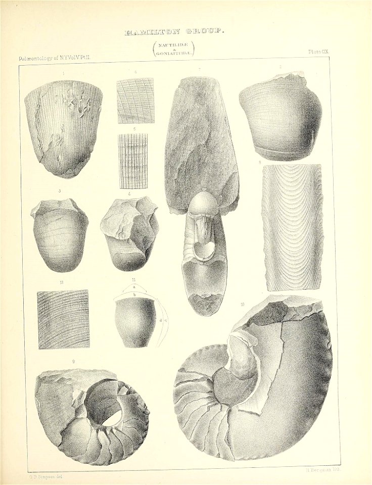 n504_w1150